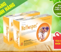 Nattospes - Phòng ngừa và cải thiện tai biến mạch máu não